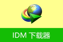 IDM下载器 | Internet Download Manager (v6.43.10.3 v3)-有个软用