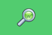 dnGrep(文件搜索工具) v5.0.57.0 中文绿色版-有个软用