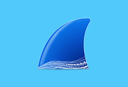 Wireshark中文版(网络抓包工具) v4.6.8 / 4.7.3 Dev 多语便携版-有个软用