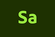 Adobe Substance 3D Sampler(简称Sa直装版) v6.0.3 中文直装版-有个软用