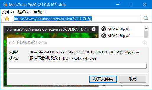 MassTube(YouTube视频下载工具) Ultra 多语便携版