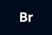 Adobe Bridge 2026(BR2026直装版) v16.0.8.10 中文直装版-有个软用