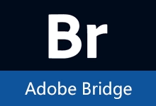 Adobe Bridge 2025 安装版(v16.0.8)-有个软用