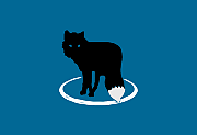 MetaFox(轻量级MKV视频转换软件) v2.6.4 便携版-有个软用