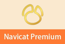 数据库管理工具 | Navicat Premium（v18.0.2.0）-有个软用